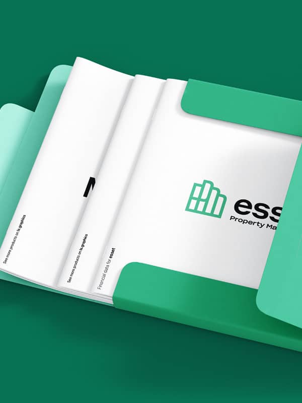 Image du cas Réel Esset